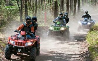 Publicister Arctic Cat Atv Background