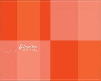 Coral Color Background Image Pictures Becuo