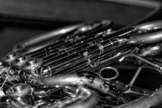 French Horn Wallpaper By Alexa Houghton