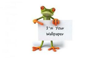 Frog 3d Wallpaper