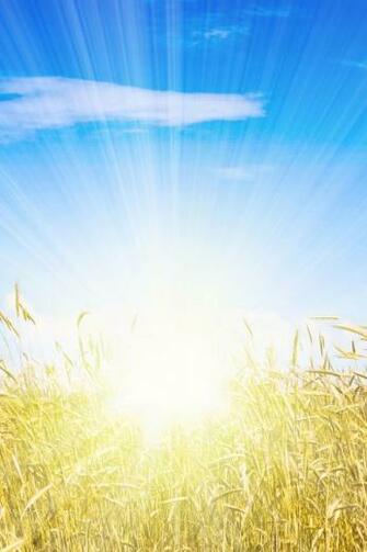 HD Dream Went Sunshine Scenery 3g iPhone Wallpaper Background