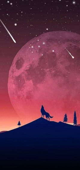 Galaxy S10 Plus Background Wallpaper