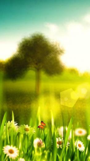 Spring Live Wallpaper Android Apps And Tests Androidpit