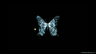 Wallpaper Spring Butterflies Animated