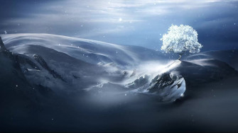Lonely Winter Tree Live Wallpaper Wallpaperwaifu