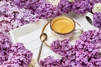 Coffee 5k Retina Ultra HD Wallpaper Background Image