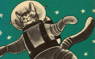 Space Cat