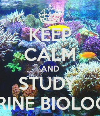 Marine Biology Wallpaper And Study Biologist