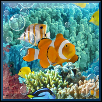 3d Animated Snowflakes Live Wallpaper Kindle Fire Apps