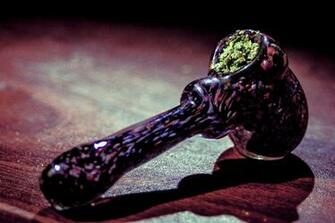 Royal Purple Kush Marijuana Re 420resource