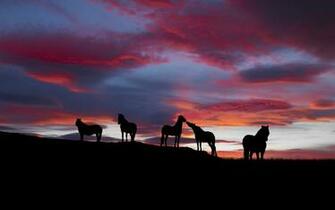 Windows Wallpaper Archives HD
