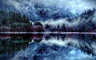 Winter Forest Desktop Wallpaper At Wallpaperbro