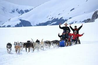 Dog Sledding Wallpaper High Quality