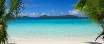 Tropical Island Beach Palm Trees Sea Waves Wallpaper Wallpaperbyte