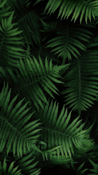 Wallpaper Sony Xperia Iii Android 4k Os