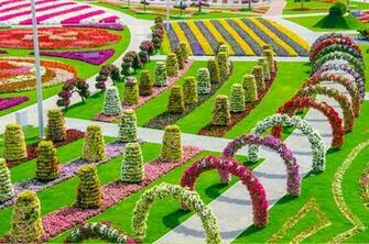 Most Beautiful Flower Garden HD Wallpaper