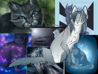 Warrior Cats Wallpaper Bluestar