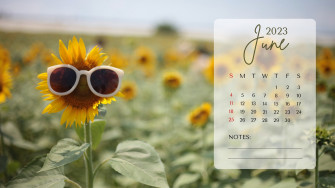 And Customizable Summer Desktop Wallpaper Templates
