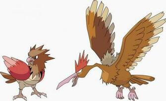 Pokemon Spearow Evolve Hot Girls Wallpaper
