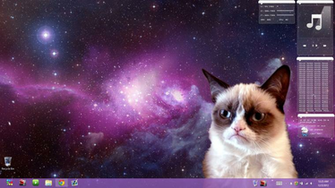 Cat Wallpaper