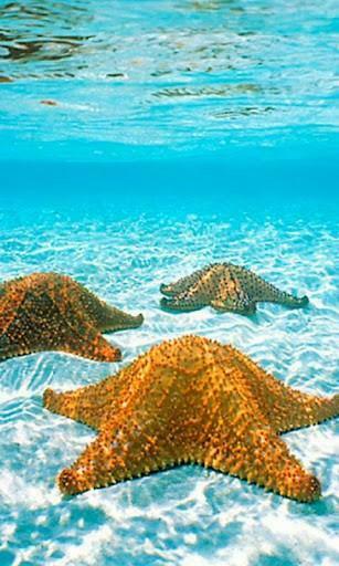 Captura De Pantalla Ocean HD Live Wallpaper Para Android