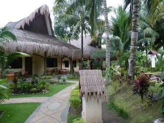 Aqua Landia Dauin Resort In Dumaguete Room Deals Photos Res