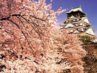 Osaka Wallpaper Travel Guide To