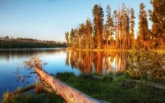 Yellowstone Wallpaper