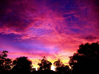 Pink Sunset Wallpaper