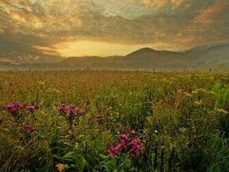 Morning Cades Cove Great Smoky Mountains HD Wallpaper