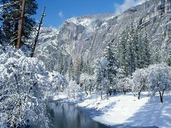 Winter Wallpaper Trees Full Of Snow Cold Weather December