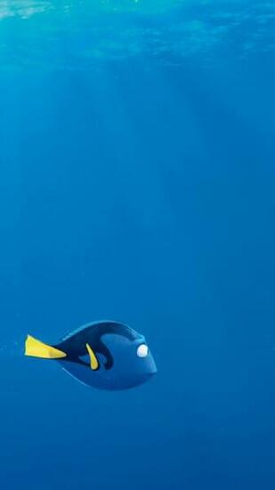 Finding Dory Wallpaper Adorable