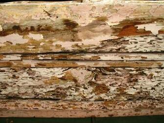 Textured Brick Wallpaper