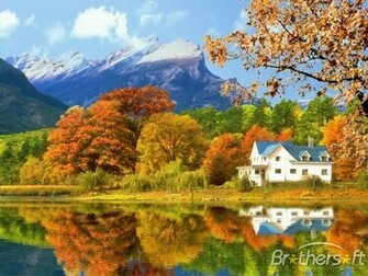 Gorgeous Fall Foliage 3d Screensaver