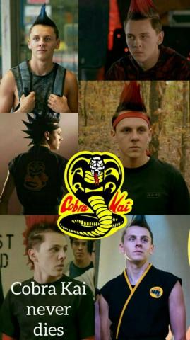 Hawk Cobra Kai Karate Kid Wallpaper The