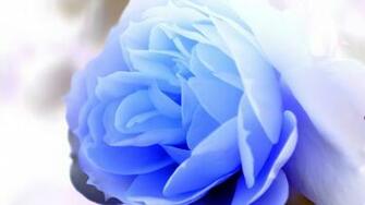 Pics Photos Baby Blue Wallpaper Co
