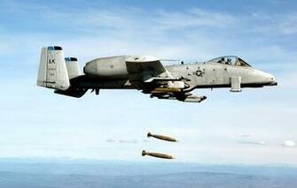 A Warthog Wallpaper HD On