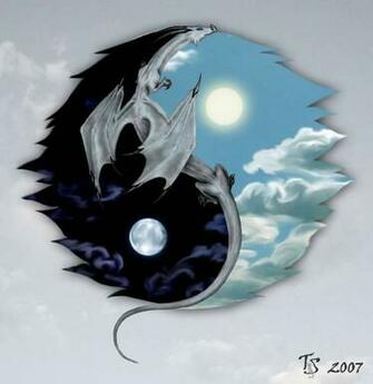 Pics Photos Yin Yang Dragon
