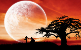 Love Couple Wallpaper