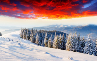 Landscapes Nature Winter Seasons Snow Trees Forests Mountains Sunsets Sunrises Skies Wallpaper