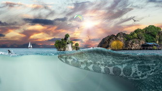 Crocodile Island