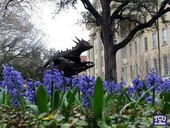 Tcu Wallpaper Chrome Browser Themes Amp More For Horned