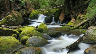 Nature HD Wallpaper Landscape