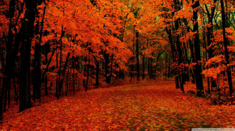 Fall Wallpaper Awesome