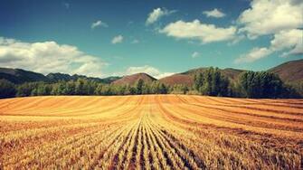 Typical Wallpaper Photo Manipulated Nature In Jpg