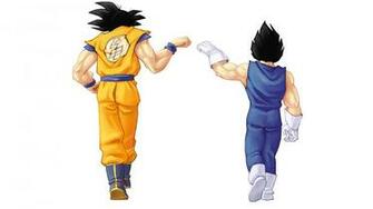 Vegeta Goku Wallpaper Dragon Ball Z