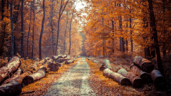 Fall Wallpaper 4k Beautiful