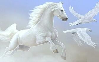 Beautiful Horse Horses Wallpaper
