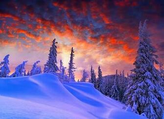 Nexus Winter Orange Sky Wallpaper