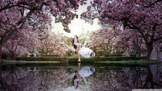 Spring HD Wallpaper